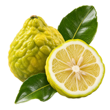 Bergamota
