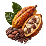 Cacau