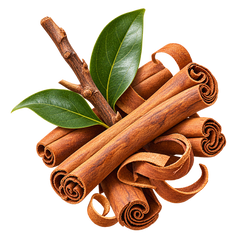 Canela