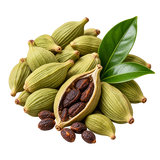 Cardamomo