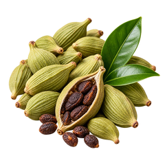 Cardamomo