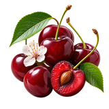 Cereja