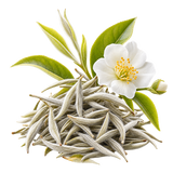 Chá Branco