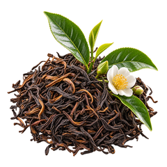 Chá Preto