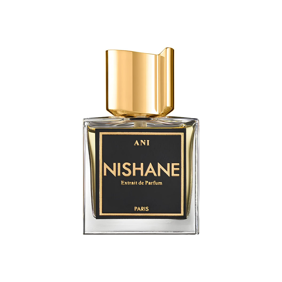 Nishane Ani