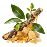 Elemi