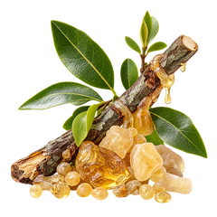 Elemi