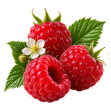Framboesa