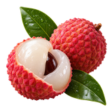 Lichia
