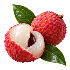 Lichia