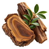Madeira Guaiac