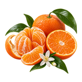 Mandarina