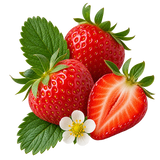 Morango