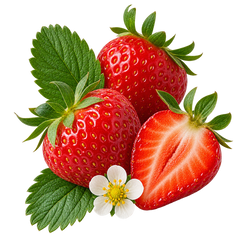 Morango