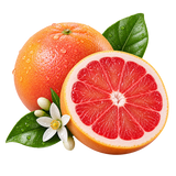 Toranja